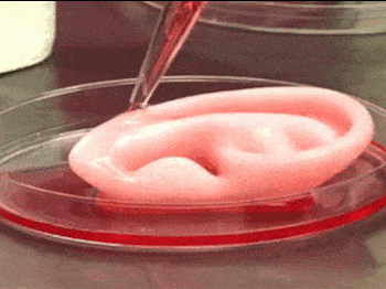 Yenem Structural Engineering 3d printed ear